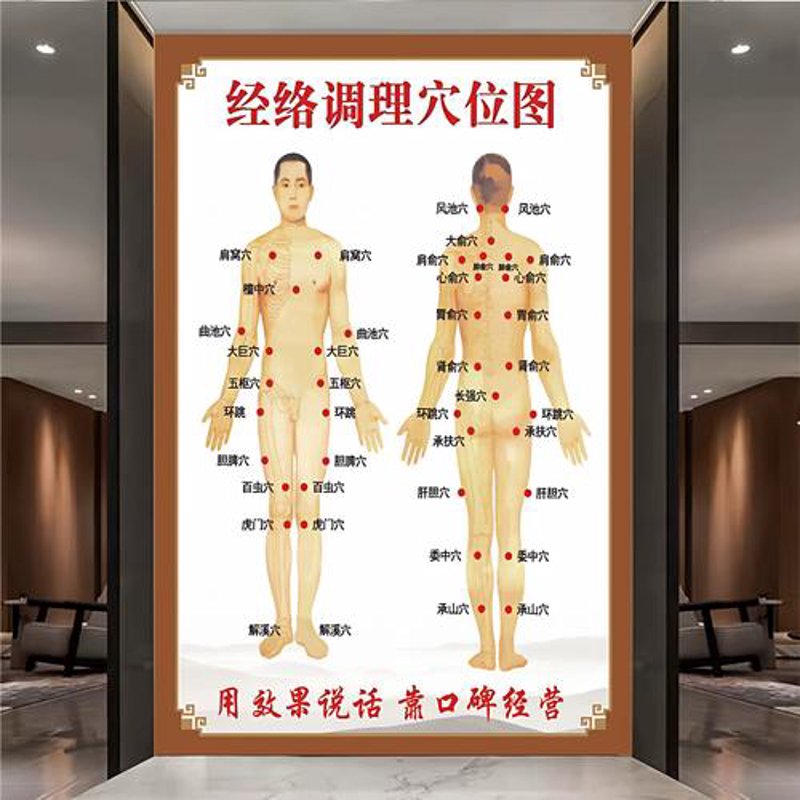 探寻经络之道:现代生活的养生秘籍